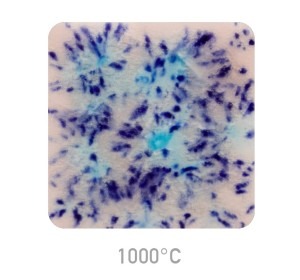 Glazura Mayco Jungle Gems 2702 Northern Lights 999 - 1220°C