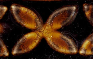 Glazura PC 64 Amaco Aventurine 1200 - 1250°C